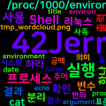 [Shell] 리눅스 실행 프로세스의 환경변수 알아보기