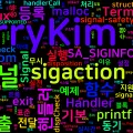 [Linux] Custom Signal Handler 만들기: sigaction과 안전한 시그널 처리