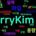 [Linux] 용량 측정할때 Symlink도 포함하기