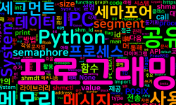 Featured image of post [Python] System V IPC를 활용한 공유 메모리와 세마포어