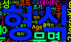 Featured image of post [CSharp] 무명 형식