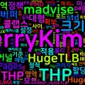 [Memory 04] Large Pages·Huge Pages