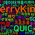 [Network 10] QUIC 프로토콜