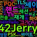 [Network 10] TLS/SSL 최적화