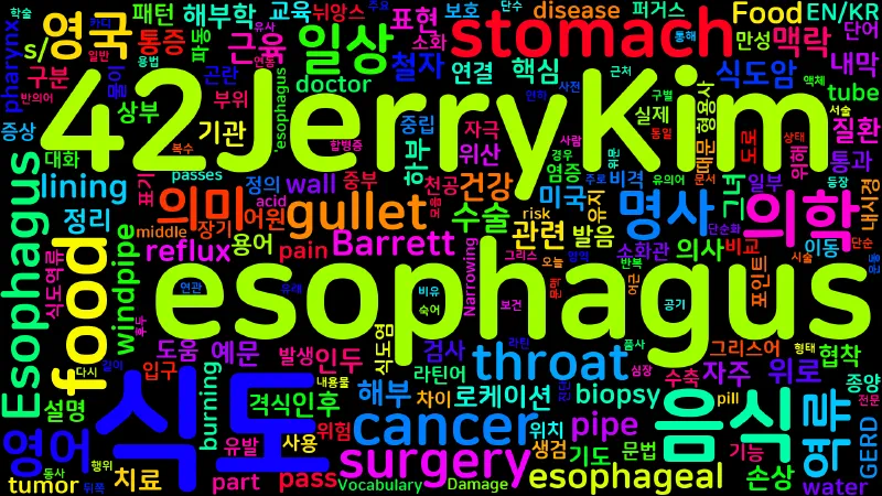 Featured image of post [Vocabulary] esophagus의 의미와 쓰임 - 명사 핵심 정리