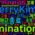 [Vocabulary] termination의 의미와 쓰임 - 명사 핵심 정리